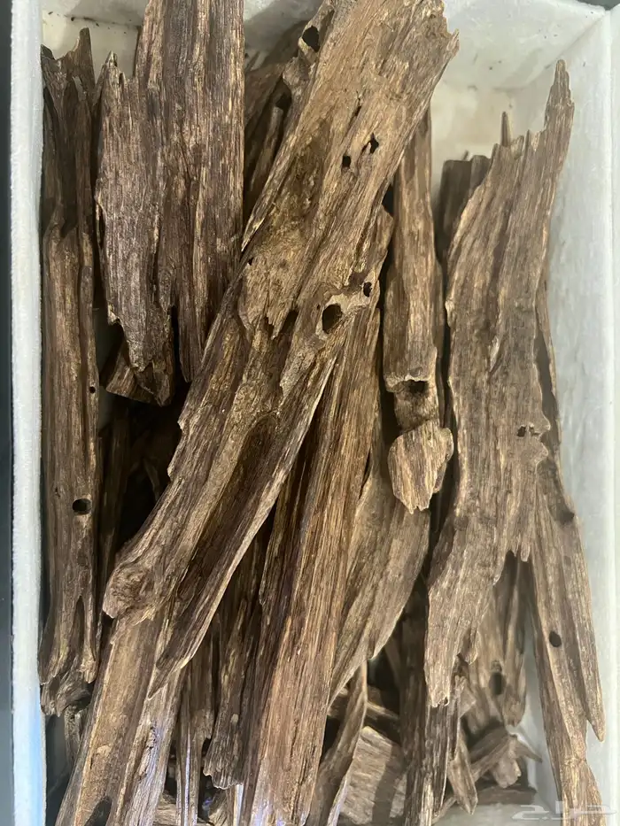 عود هندي نجلاند طبيعي 1