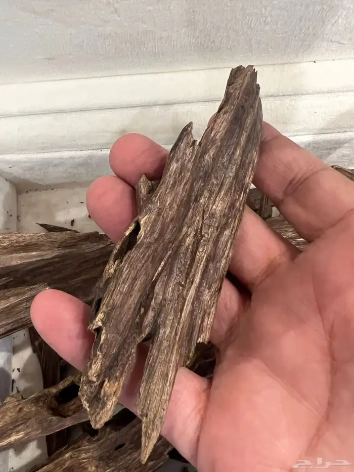 عود هندي نجلاند طبيعي 2