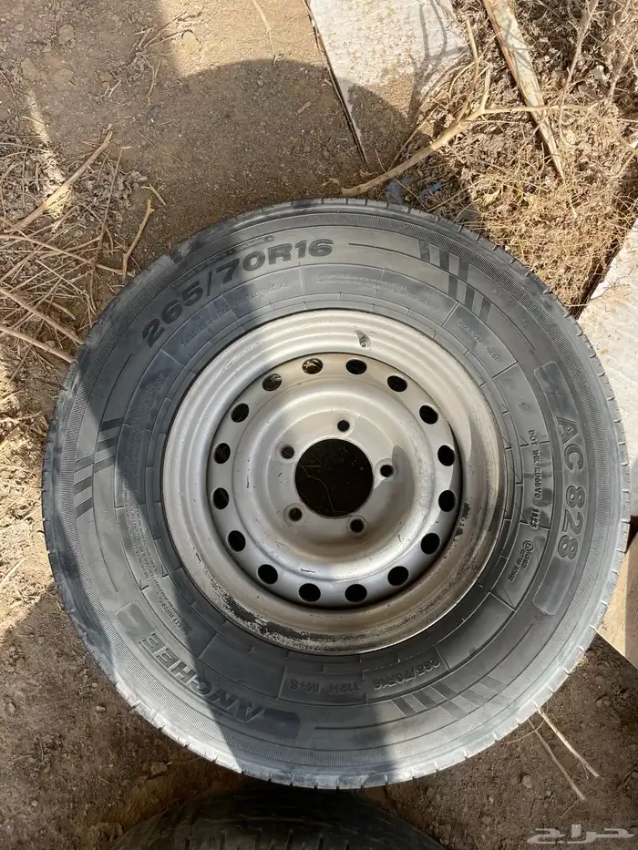 جنوط فراشه و هلل 4