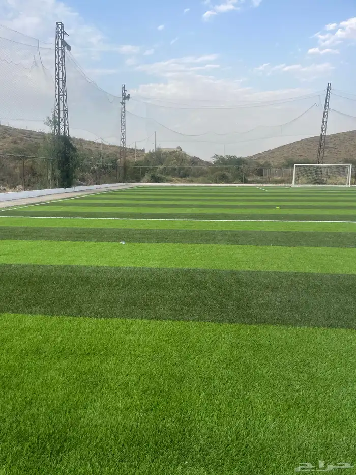 استثمار ملعب وسم أبها 1