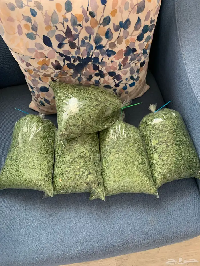 ورق مورينقا مجفف 0