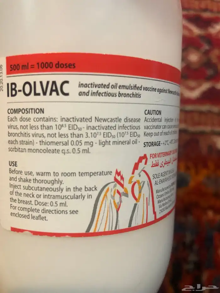 حمام   IB-OLVAC 0