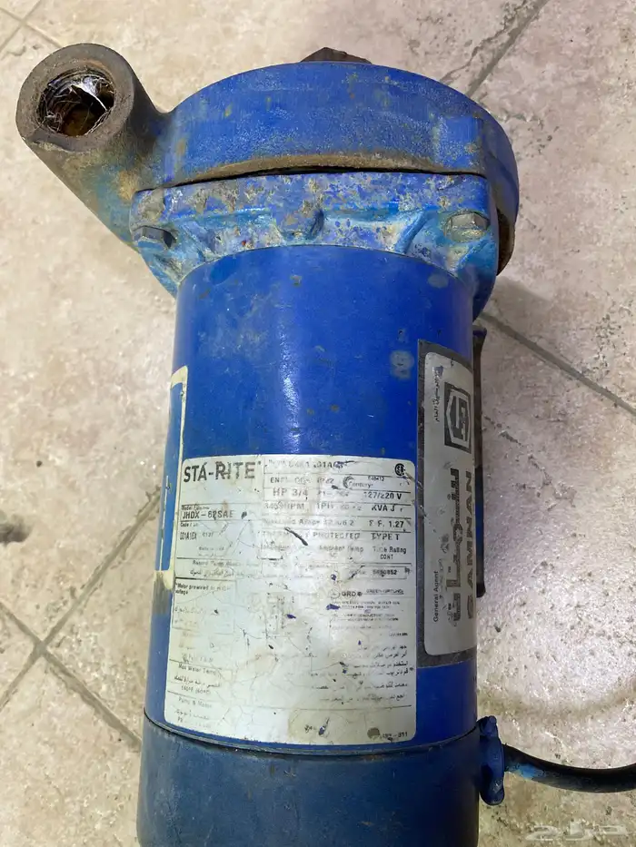 ديلمة سمنان امريكيه 3 4 حصان 0