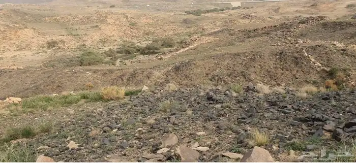 ارض للبيع مخطط 1825 المحاله 2