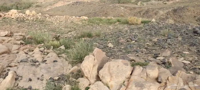 ارض للبيع مخطط 1825 المحاله 3