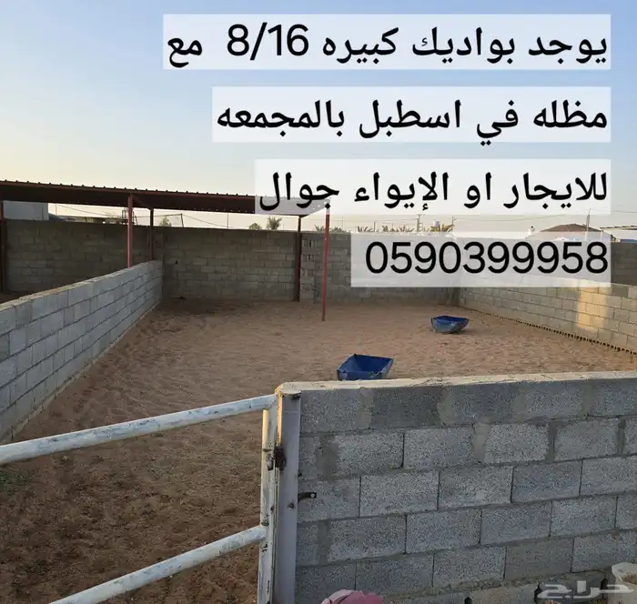 مستلزمات خيل 2