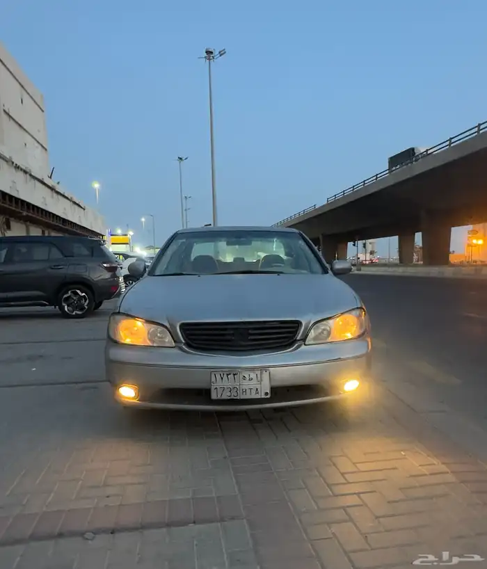 مكسيما 2008 3