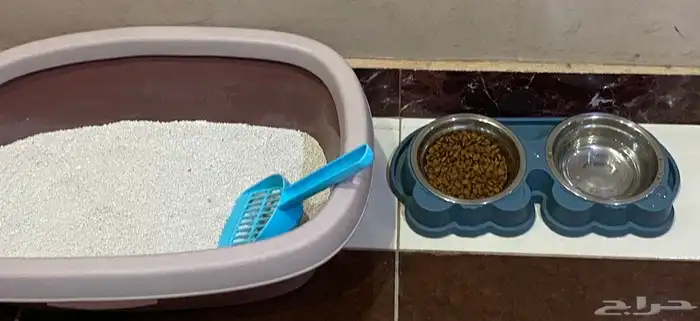 اغراض قط للبيع 1