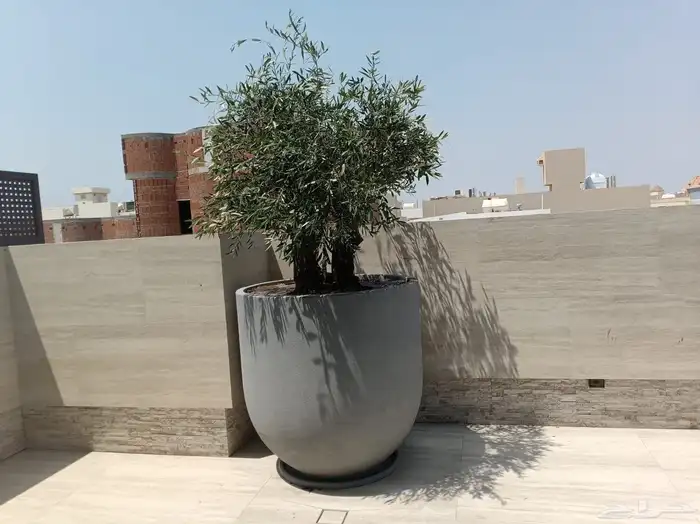 احواض مراكن زرع فايبر 14