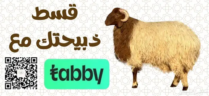 اقساط ذبائح 0