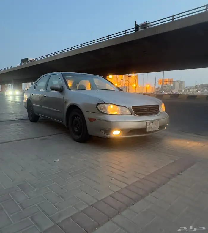 مكسيما 2008 0