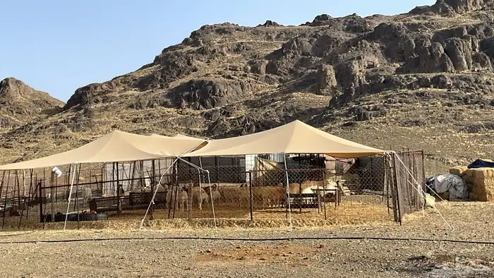 مظله للبيع عدد 2 1