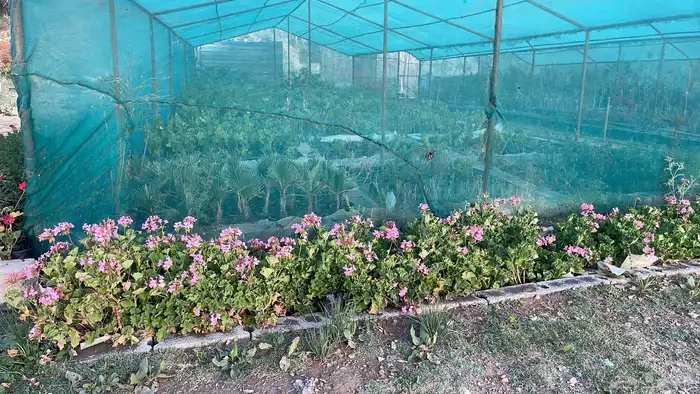 عروض اليوم الوطني 95   حسب الكميه والاسعار 13