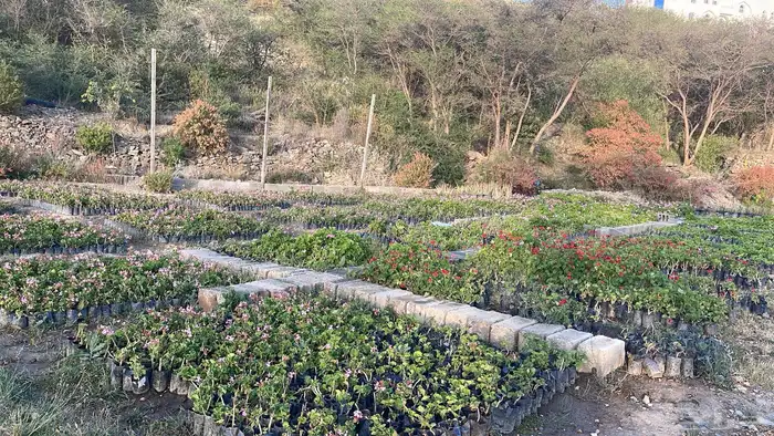عروض اليوم الوطني 95   حسب الكميه والاسعار 11