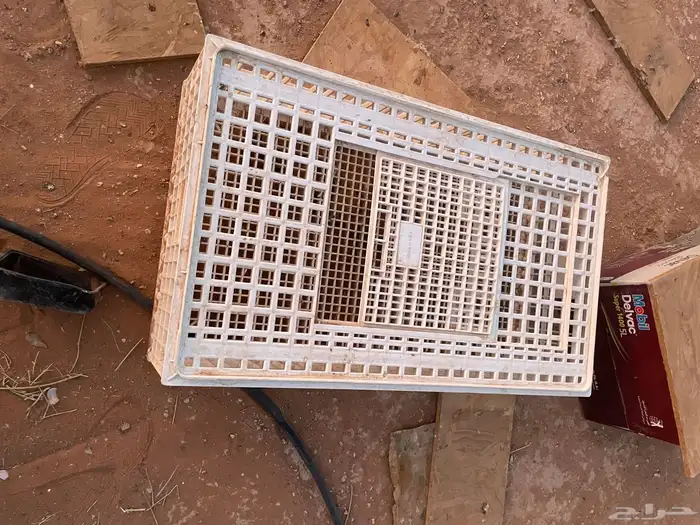 شبوك لنقل الطيور 1