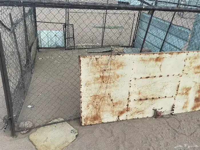 شبك 1