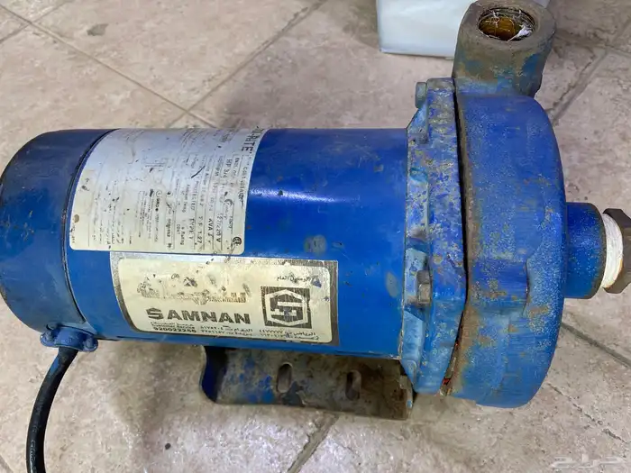 ديلمة سمنان امريكيه 3 4 حصان 1