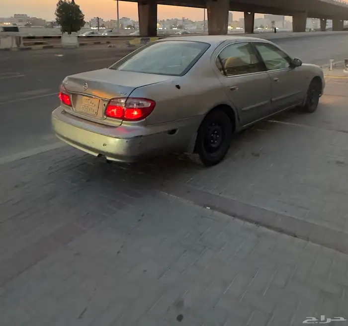 مكسيما 2008 13