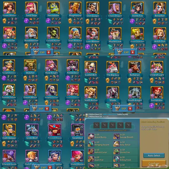 قائد حشد وعجائب لوردس موبايل(انباع) 5