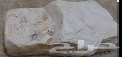 أحجار أثرية 0