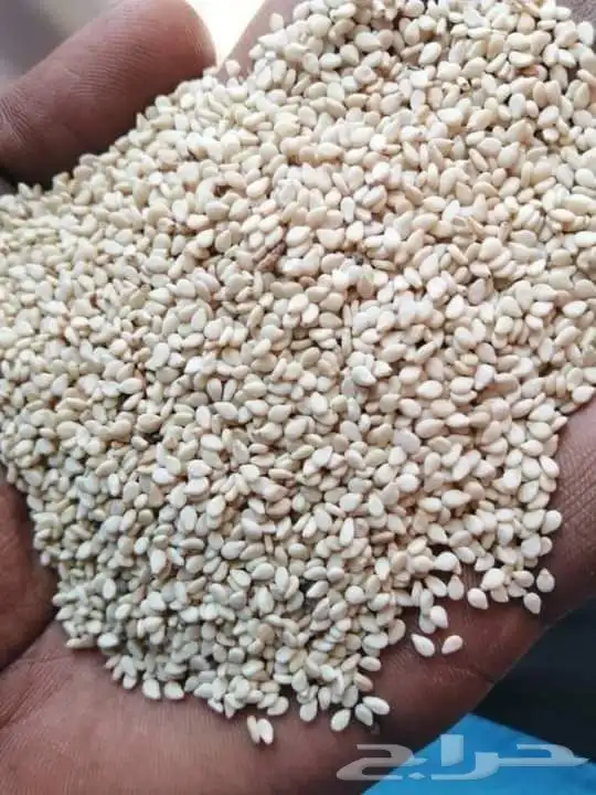 الرياض مدينة الرياض حي النور مؤسسة امتياز الخليج 3