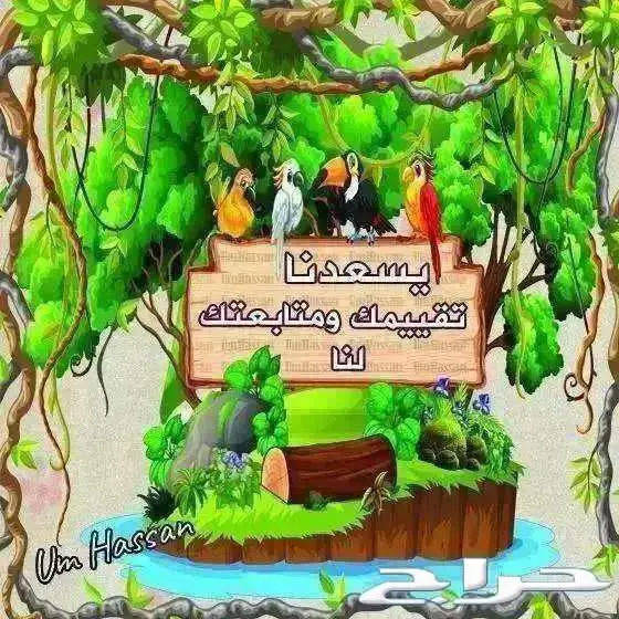 أستاند وأقفاص 610 مع البياضات (( تم البيع )) 5