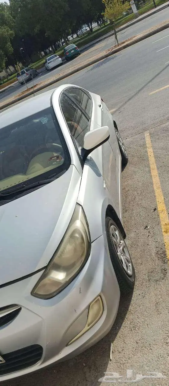 الرياض العقيق 7