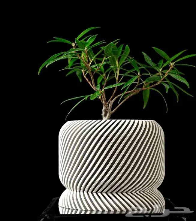 أحواض نباتات عصرية   مطبوعة بتقنية 3D Printing   جدة 2