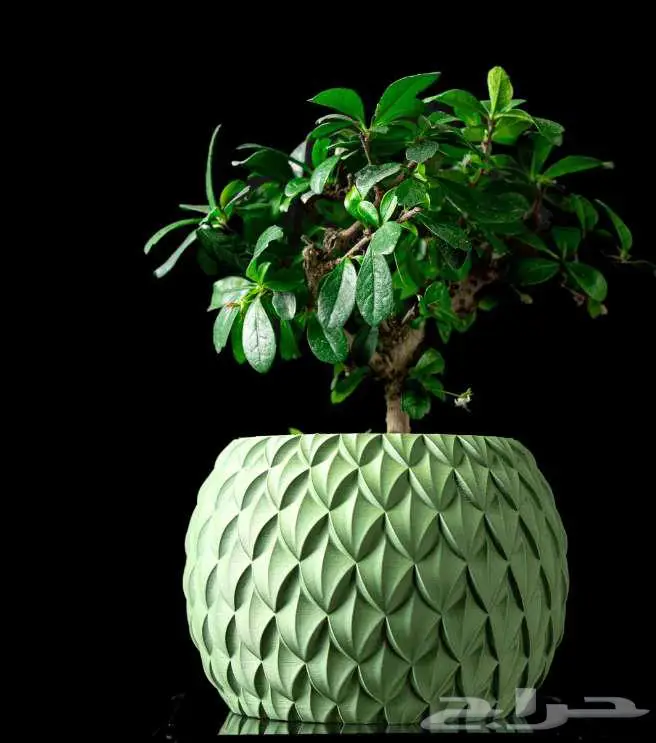 أحواض نباتات عصرية   مطبوعة بتقنية 3D Printing   جدة 1