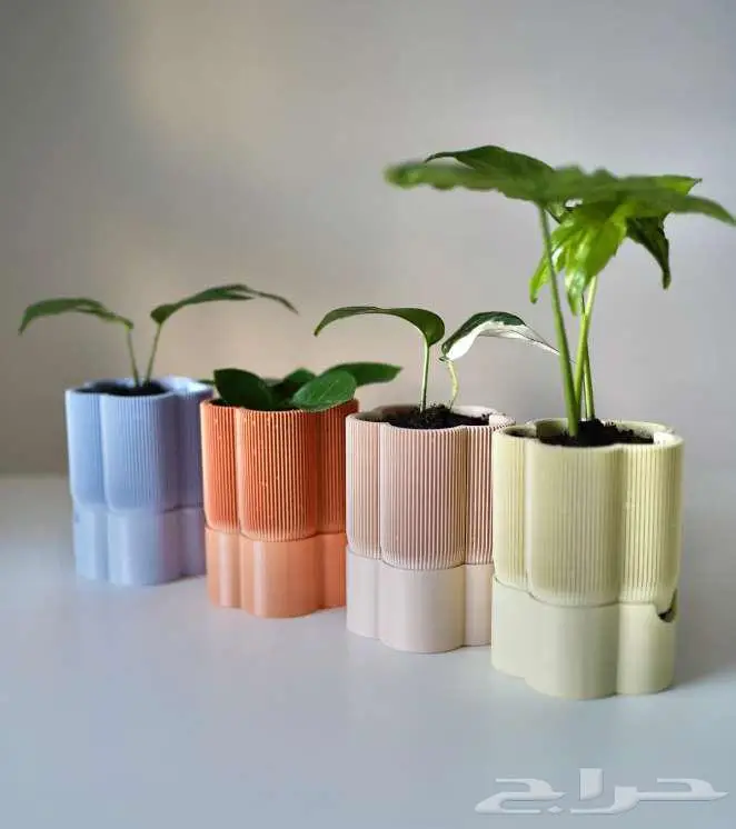 أحواض نباتات عصرية   نظام ري ذاتي 2