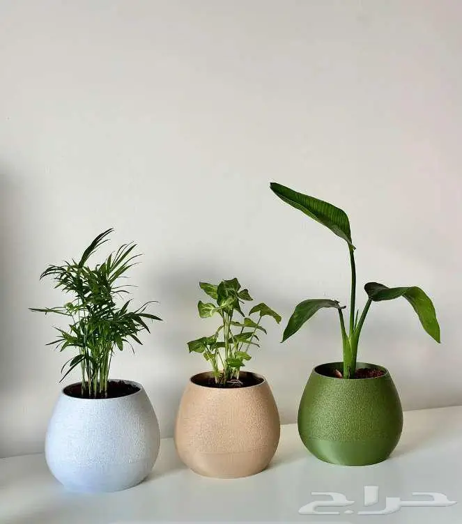 أحواض نباتات عصرية   نظام ري ذاتي 6