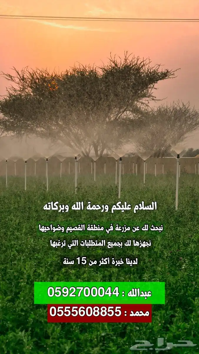 بحث عن مزارع 0