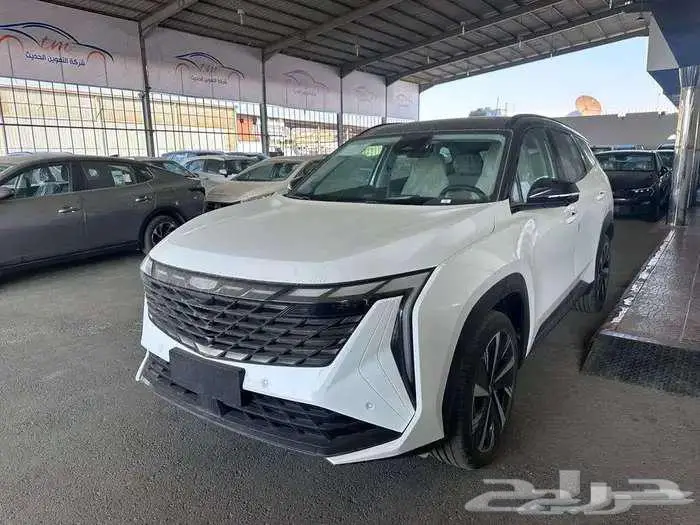 جيلي ستار راي 2024 GF بلس اعلى فئة كاش وبنك 0