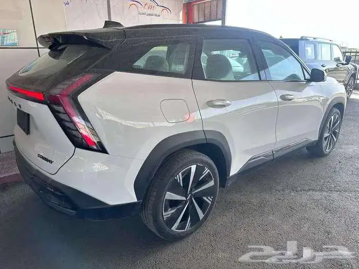 جيلي ستار راي 2024 GF بلس اعلى فئة كاش وبنك 3