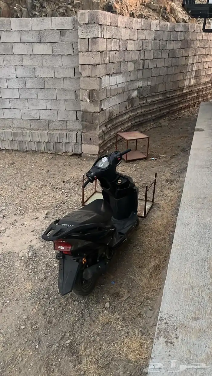 دباب بطة 2024 0