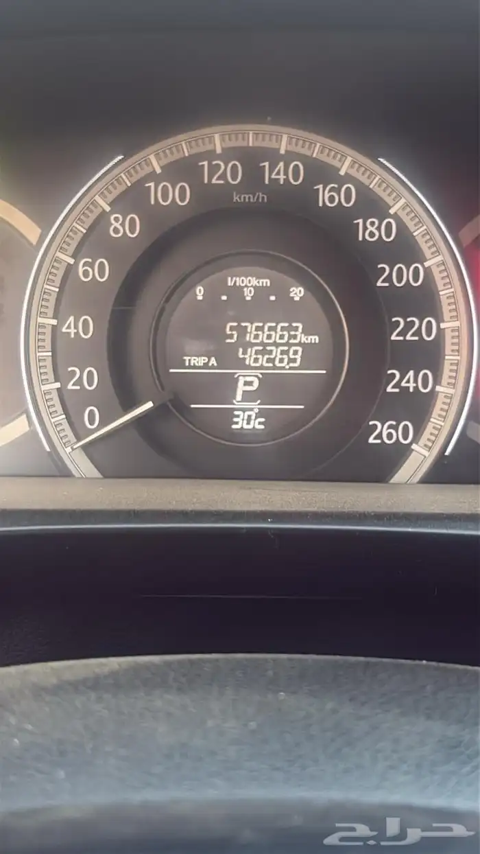 هونداءكور 2013 14