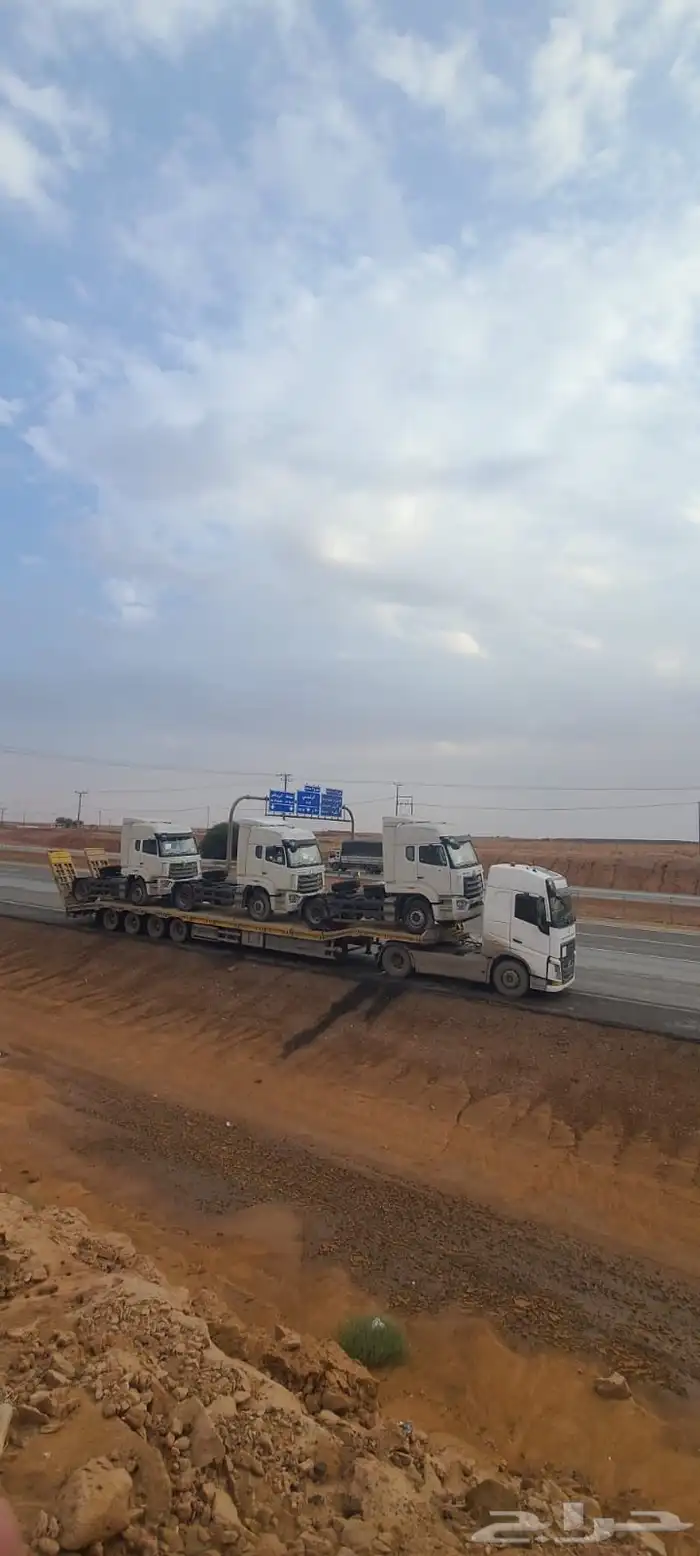 لوبد كبير الدمام الجبيل الاحساء 1