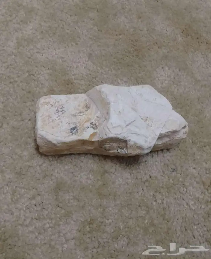 أحجار أثرية 1