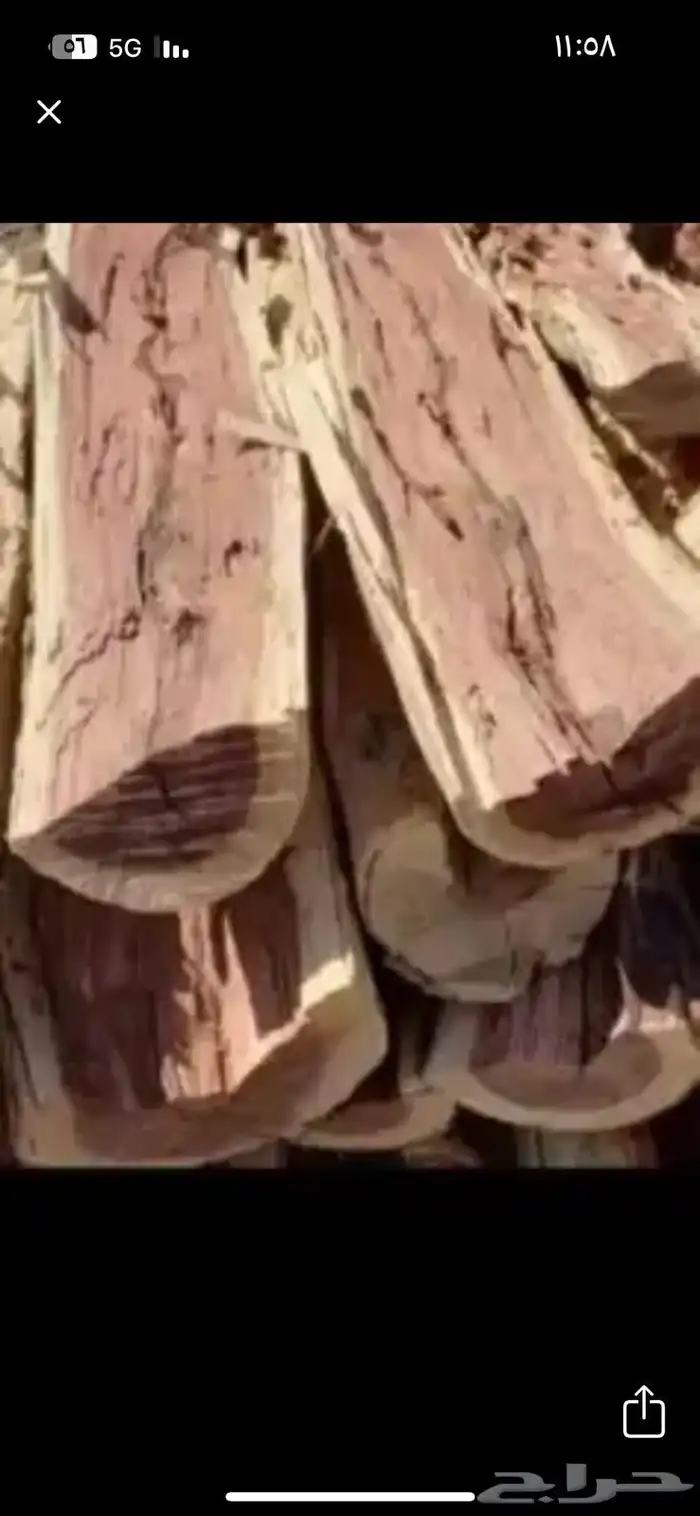 مطلوب حطب سمر الموقع الاحساء 1