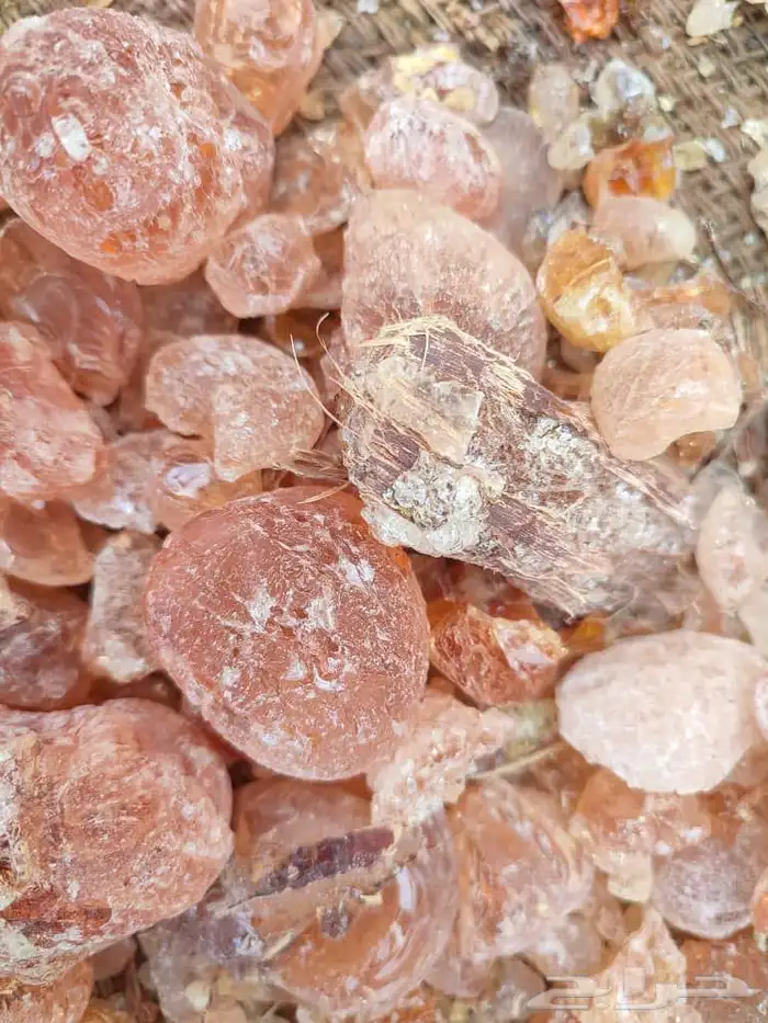 الرياض مدينة الرياض حي النور مؤسسة امتياز الخليج 4