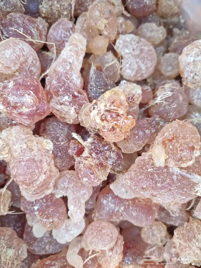 الرياض مدينة الرياض حي النور مؤسسة امتياز الخليج 5