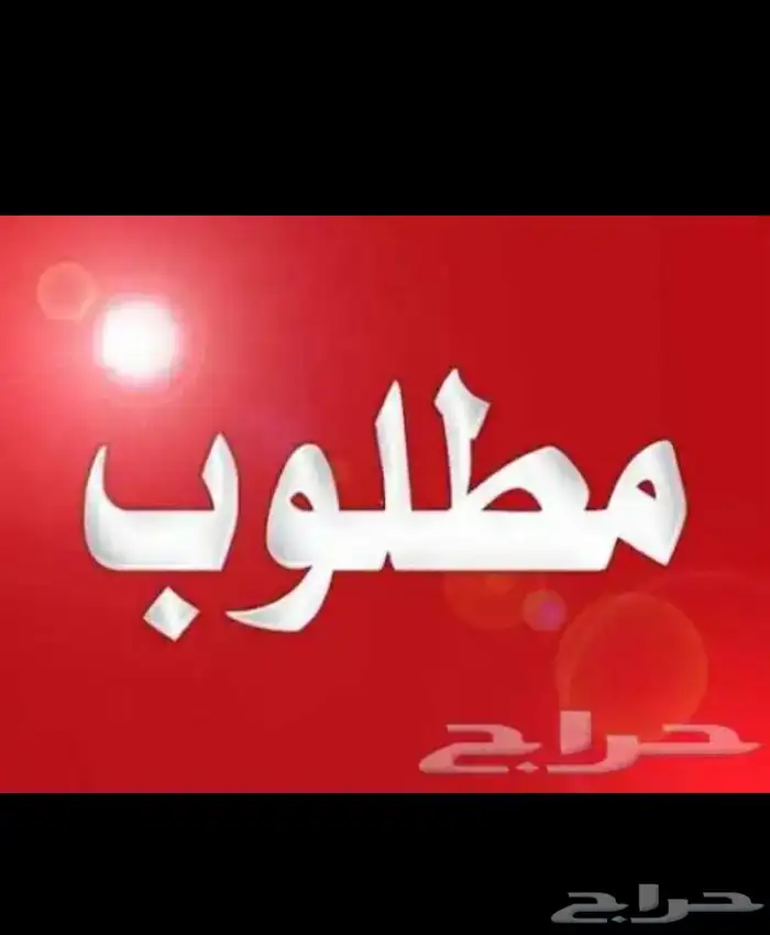 مطلوب شقه او استراحة للإيجار الشهري في الحوطه وما حولها 0