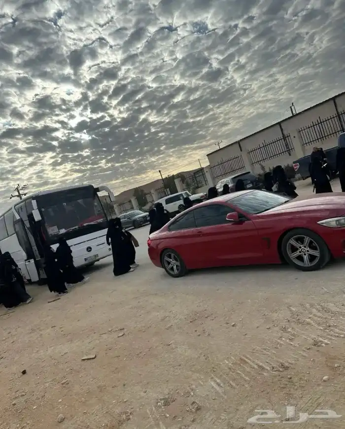 حافلات 16