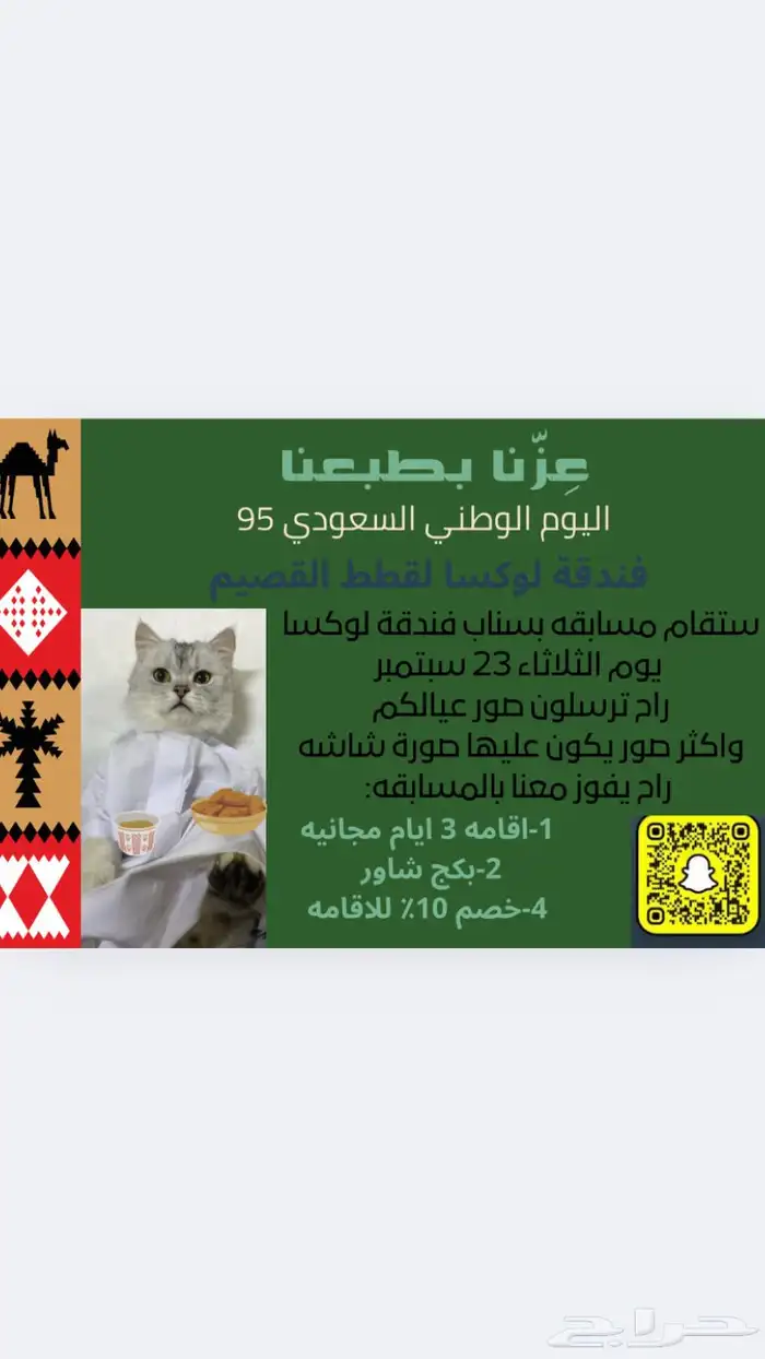 عروض اليوم الوطني فندقه لوكسا لقطط القصيم 0