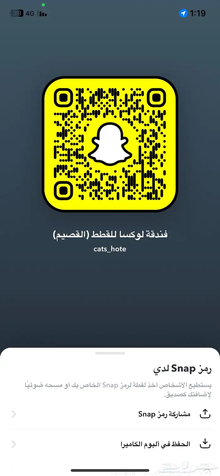 عروض اليوم الوطني فندقه لوكسا لقطط القصيم 1