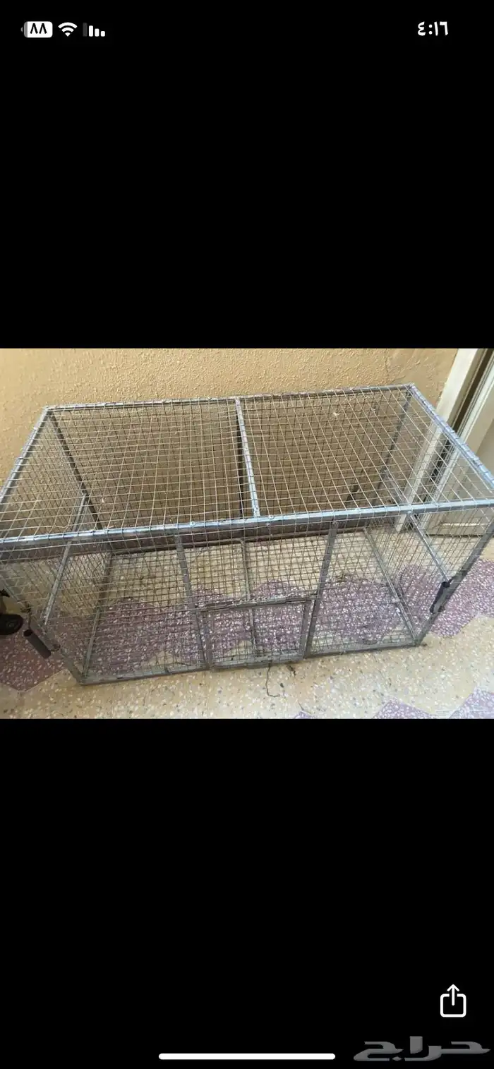 شبك دجاج 1