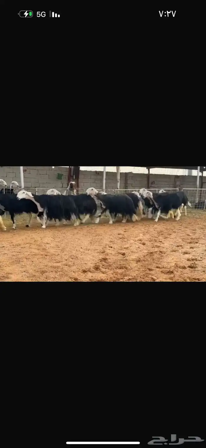 عرض بيع نجد مضاريع سونار 2