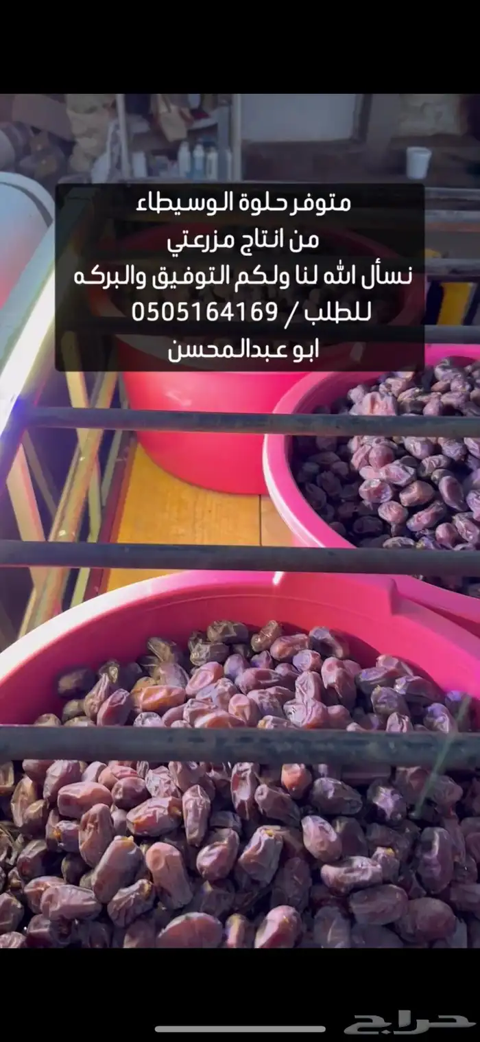 تمر حلوة الوسيطاء رميثي فاخر 1