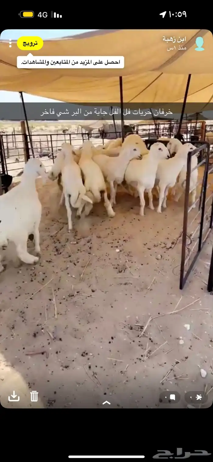 خرفان 2