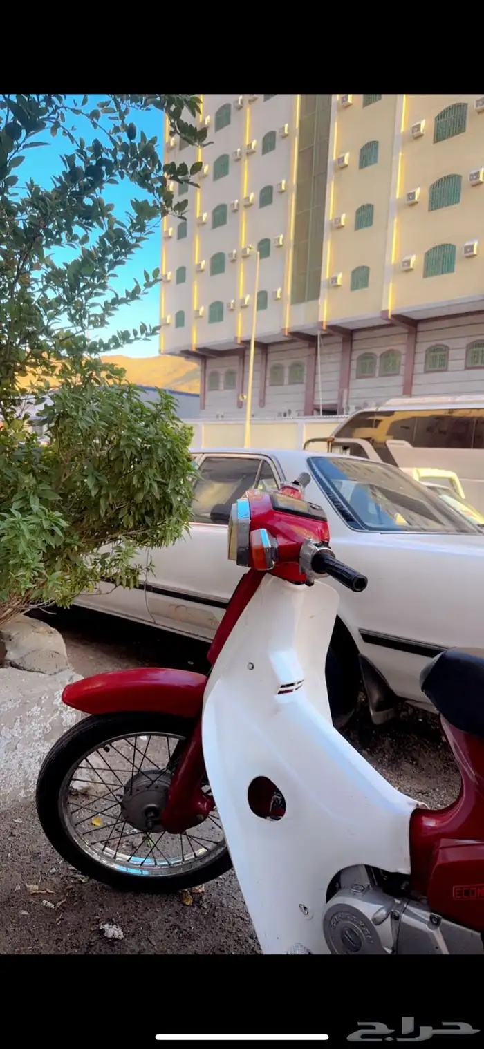 دباب سبعين شمعه مربعه 2